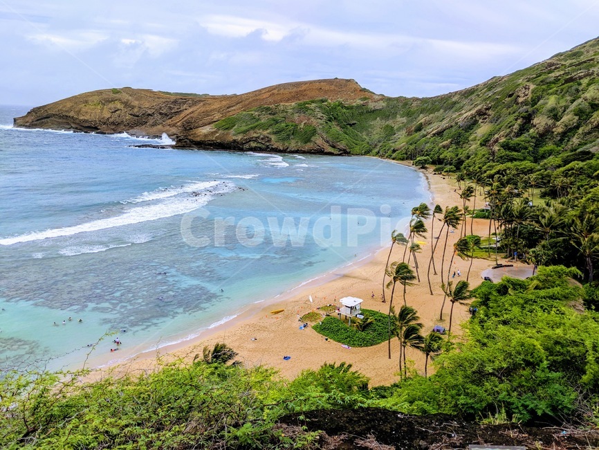 sea,바다,ocean,대양,nature,자연,shoreline,해안선,land,나라,hawaii,하와이,하나우마베이,야자수,usa