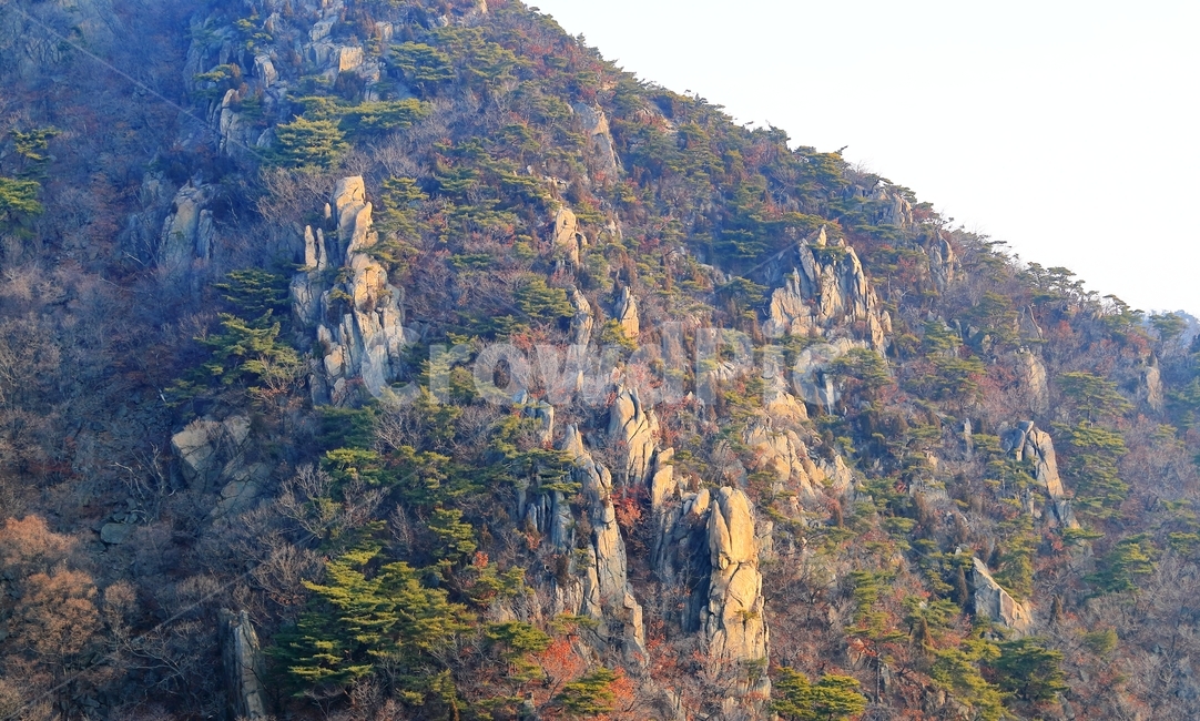 암릉,관악산,산,서울의산,육봉능선,가을,계절,fall,autumn,season,자연,풍경,nature,landscape,outdoors,옥외,tree,나무,plant,식물