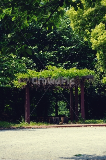 봄,여름,그늘,휴식,shade,spring,summer,나무,숲,tree,forest,green,초록,의자,relax,rattan,휴식,힐링,rest,relaxation,healing