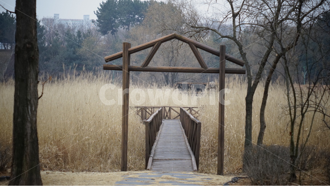 감성사진,가을,수동렌즈,감성,풍경사진,씁쓸,무보정,원본,가을,계절,fall,autumn,season,자연,풍경,nature,landscape