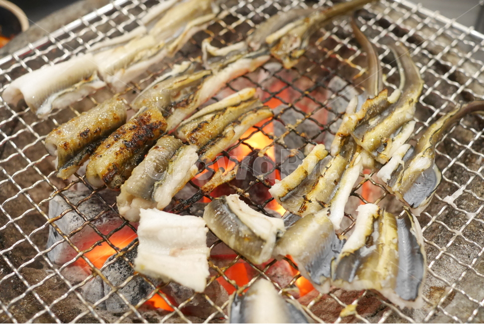장어,보양식,복날,돌장어,마산돌장어,회식,회식메뉴,모임,음식,저녁식사,food,숯불,숯불구이,스테미너,음식,식재료,요리,food,cook,meal,dishes,food reserves,수산물,해산물,fishery products,seafood,한식,한국음식,한국요리,korean food,korean dishes,korean meal,korean cook
