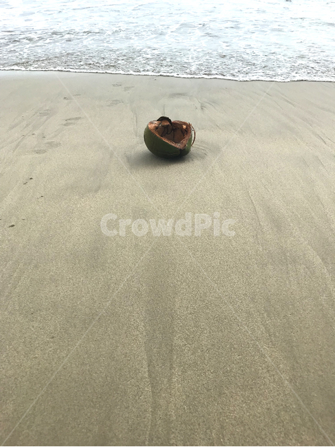 해안,해변,모래,파도,백사장,코코넛,sand,ocean,대양,sea,바다,outdoors,옥외,nature,자연,water,물,shoreline,해안선,coast,beach,바닷가,연안,해변,바다,beach,sea
