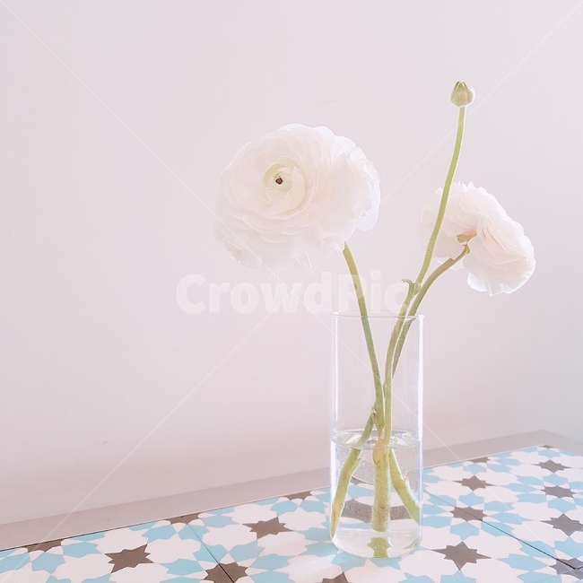 꽃병,꽃,소품,감성사진,인테리어,화이트,화병,flower,blossom,plant,식물