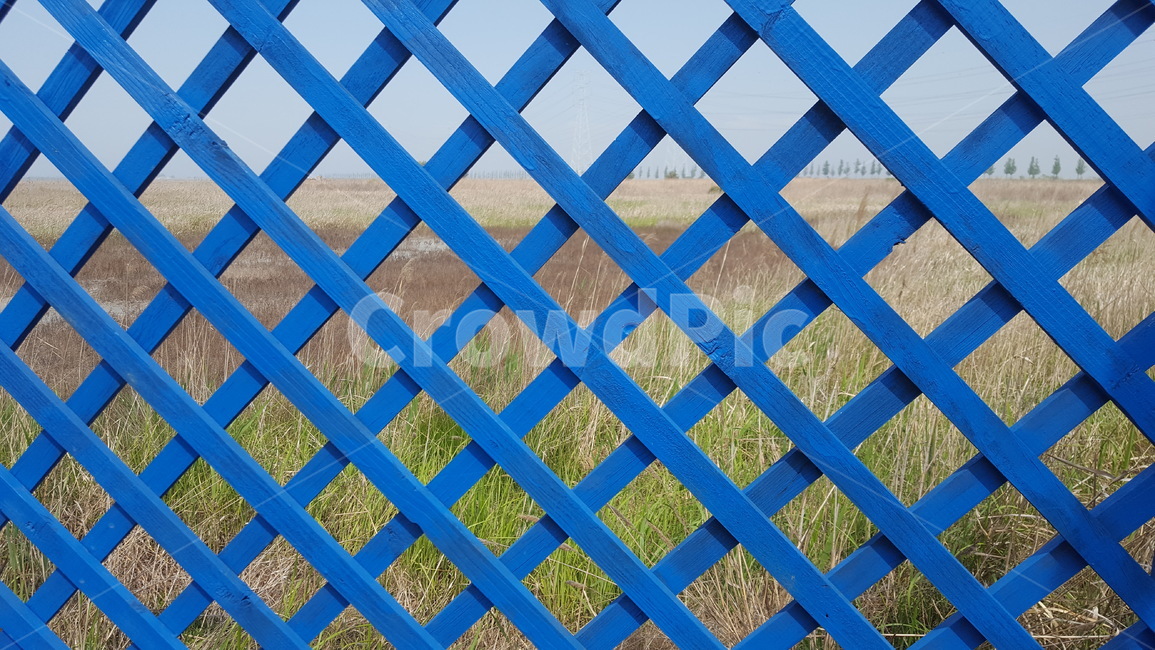 파란색,풍경,자연,울타리,파란색울타리