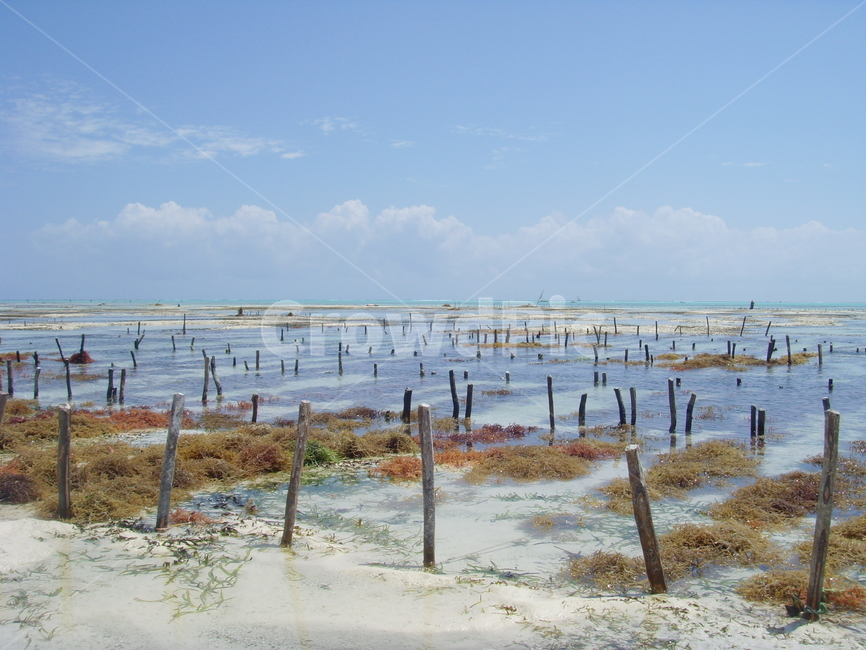 아프리카,풍경,자연,힐링,해변,자연,풍경,nature,landscape