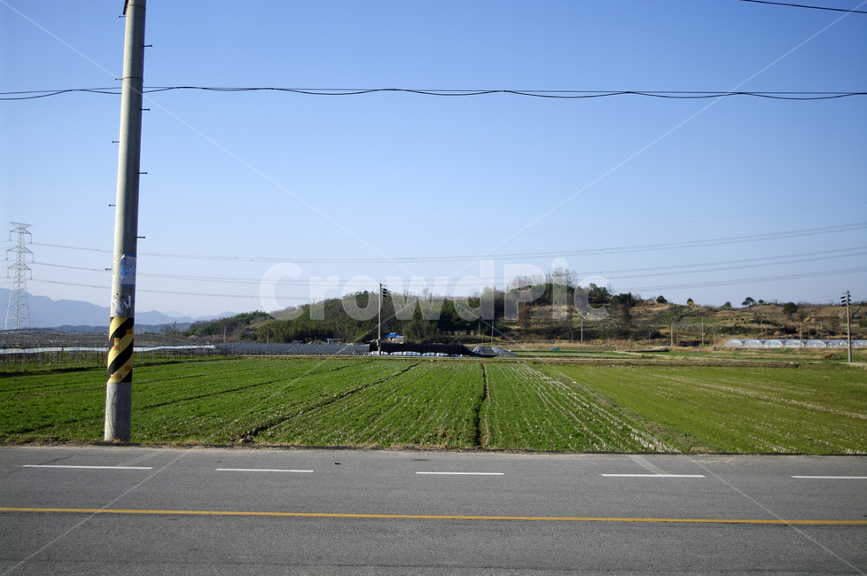 밭,풍경,하늘,전봇대,시골,시골,마을,풍경,landscape,country,rural,town