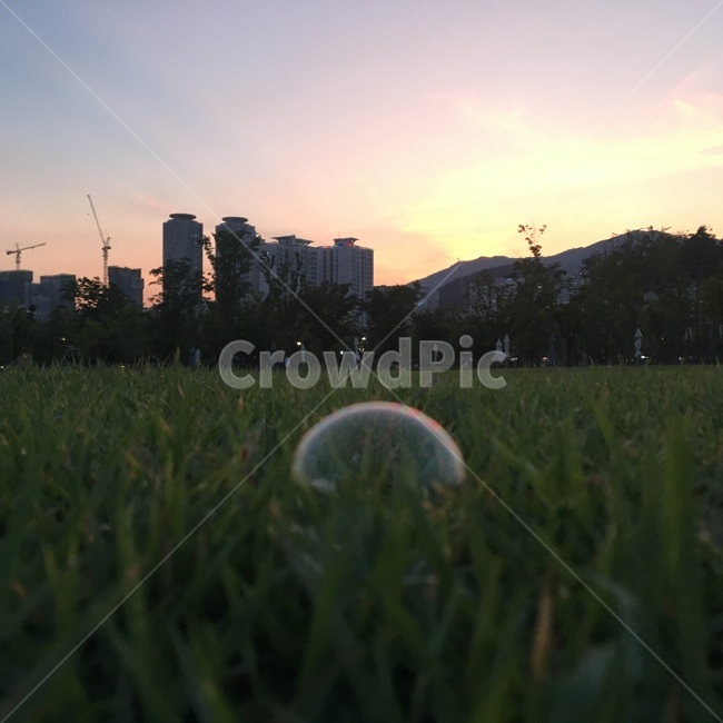 비눗방울,저녁노을,공원,풀밭,노을,해질녘,저녁,공원풍경,bubble,nature,grass,풀