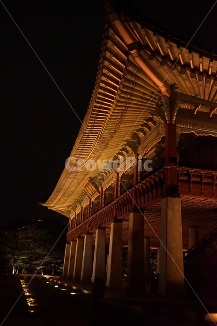 경복궁,고궁,한국,한국스러움,한국조명,야간개장,야경,밤,풍경,nightscape,night,landscape,한국전통,한국문화,korean traditional,korean culture,랜드마크,landmark,tourist attraction,한국랜드마크,한국관광지,한국명소,korea landmark,korea tourist attraction,건축물,건물외관,exterior,building,structure,architecture,construction,건물,shrine,신사,worship,예배