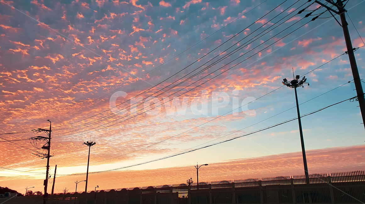 utilitypole,전신주,nature,자연,노을,sunset,하늘,sky,구름,cloud,cable,케이블,powerlines,전력선,electrictransmissiontower,송전탑