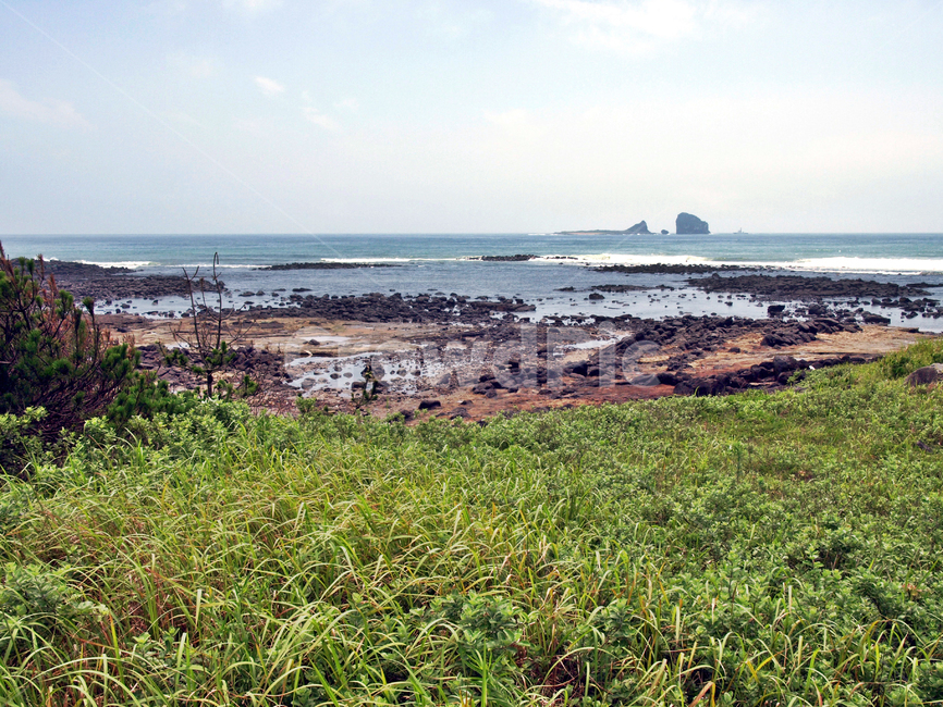형제섬,사계화석발견지,올레10코스,올레,서귀포시,제주,자연,풍경,nature,landscape,제주도,jeju,jeju island,outdoors,옥외,land,땅,grass,잔디,plant,식물,vegetation,초목