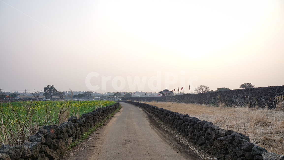 돌담,민들레,성벽,제주도,돌담길,풍경,시골,road,도로,dirt road,흙길,gravel,자갈,tarmac,타맥,asphalt,아스팔트
