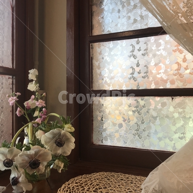 카페,꽃,빛,분위기,화병,커튼,꽃,flower,실내용화초,화분,화초,house plant,인테리어,실내디자인,interior design