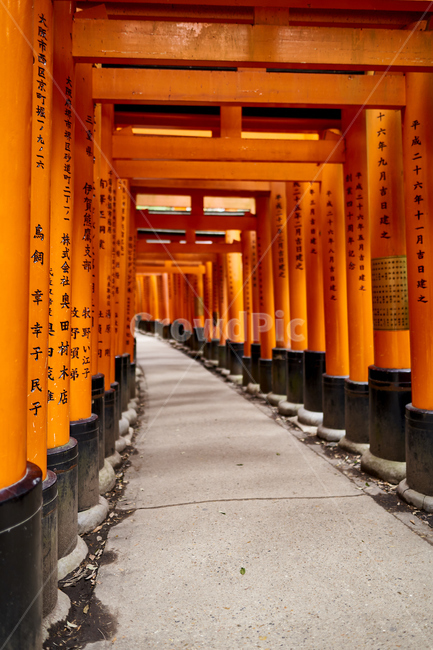 교토,후시미이나리신사,kyoto,fushimiinaritaishashrine,게이샤의추억,도리이,일본,japan,dorii,랜드마크,landmark,tourist attraction,해외,외국,세계,foreign,oversea,world,세계랜드마크,해외랜드마크,외국랜드마크,world landmark,world tourist attraction,종교,신앙,religion,belief,faith,architecture,건축물,building,건물