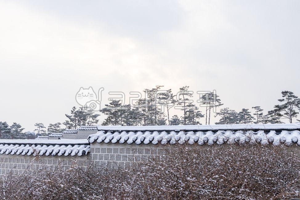 경복궁,조선시대왕궁,눈내린궁,담벼락,겨울궁궐,경복궁눈,겨울나무,눈꽃,기와지붕,눈덮힌기와,건물,palace,architecture,building,겨울,계절,winter,season,한국전통,한국문화,korean traditional,korean culture