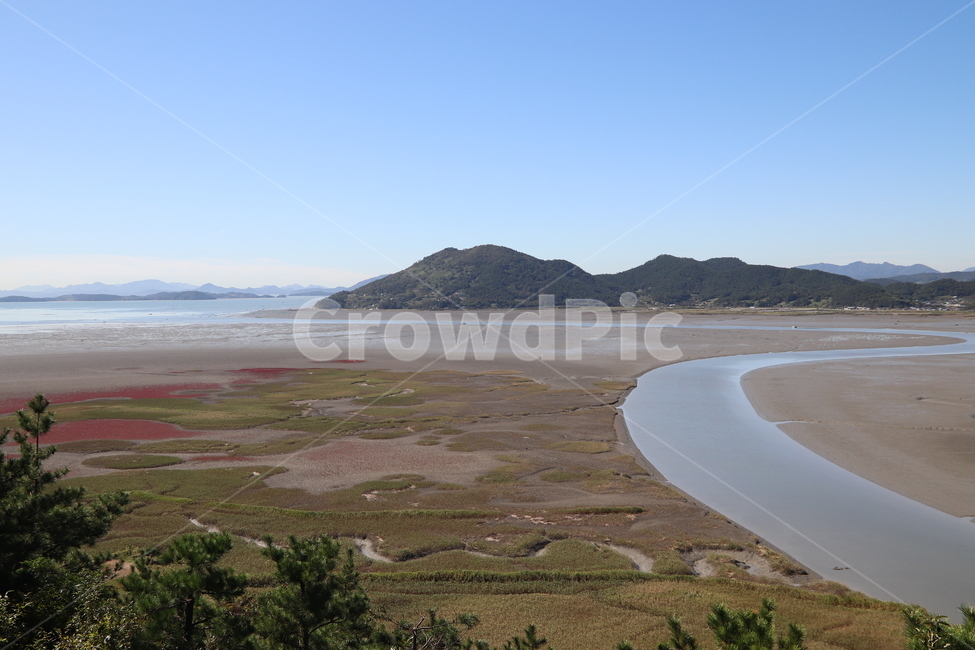nature,자연,물,land,순천만,갯벌,물길,풍경