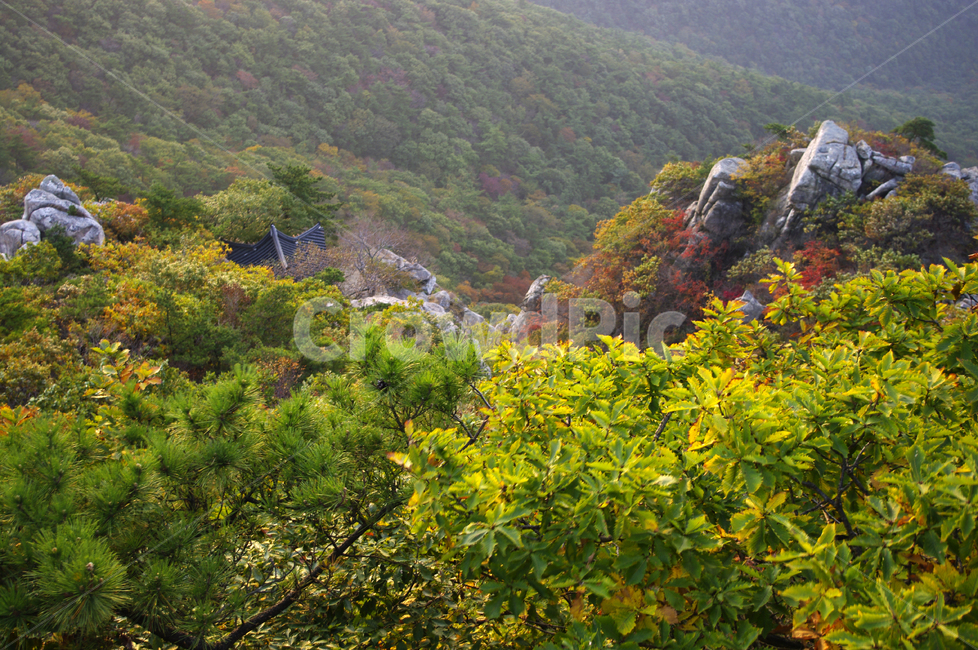 산,나무,풍경,바위,암석,가을,계절,fall,autumn,season,자연,풍경,nature,landscape,한국자연풍경,한국자연경관,korea nature landscape,outdoors,옥외,mountain