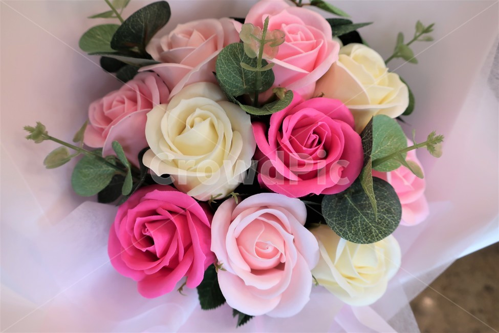 꽃,꽃다발,축하,선물,기념,기념일,포장,포장지,장미,식물,꽃,flower,기념일,축하,anniversary,congratulation,celebrate,celebration