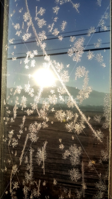 눈,결정,근접,눈꽃,눈송이,겨울,계절,winter,season
