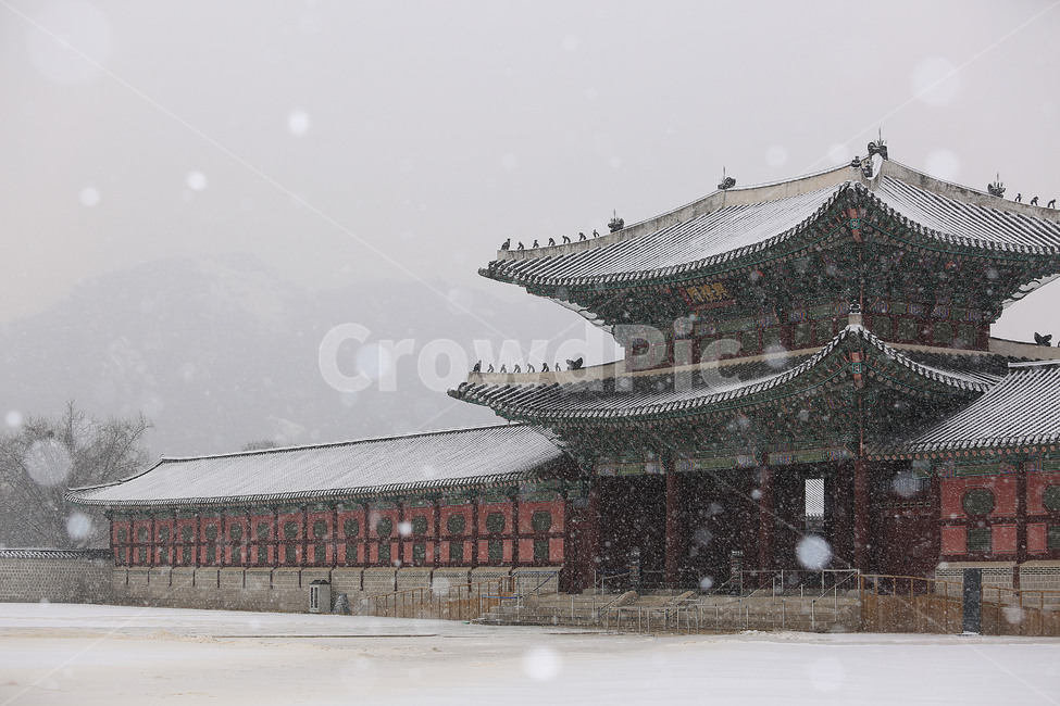 겨울,눈,설경,경복궁,궁,한국,전통,winter,snow,palace,korea,tradition,겨울,계절,winter,season,한국전통,한국문화,korean traditional,korean culture,랜드마크,landmark,tourist attraction,한국랜드마크,한국관광지,한국명소,korea landmark,korea tourist attraction,건축물,건물외관,exterior,building,structure,architecture,construction
