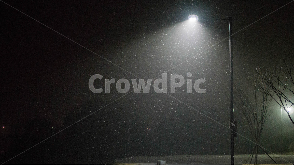 눈,겨울,차가운,가로등,밤,야경,겨울,계절,winter,season,야경,밤,풍경,nightscape,night,landscape,nature,자연,outdoors,옥외