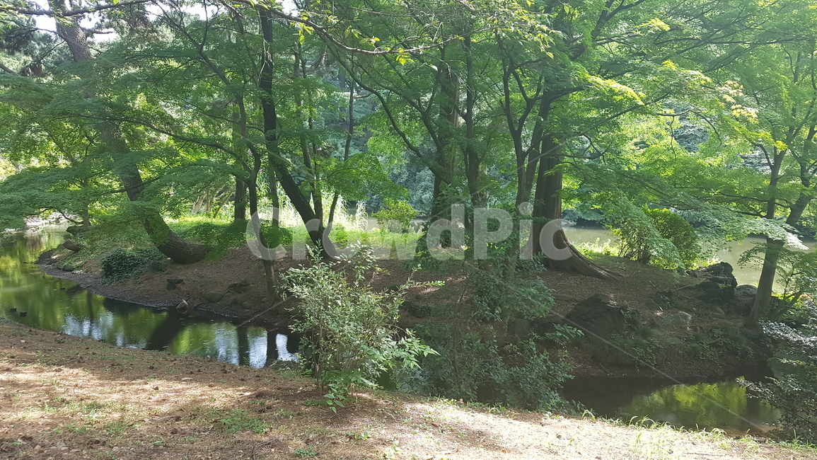 outdoors,옥외,land,나라,nature,자연,plant,식물,tree,나무,treetrunk,나무줄기,water,물