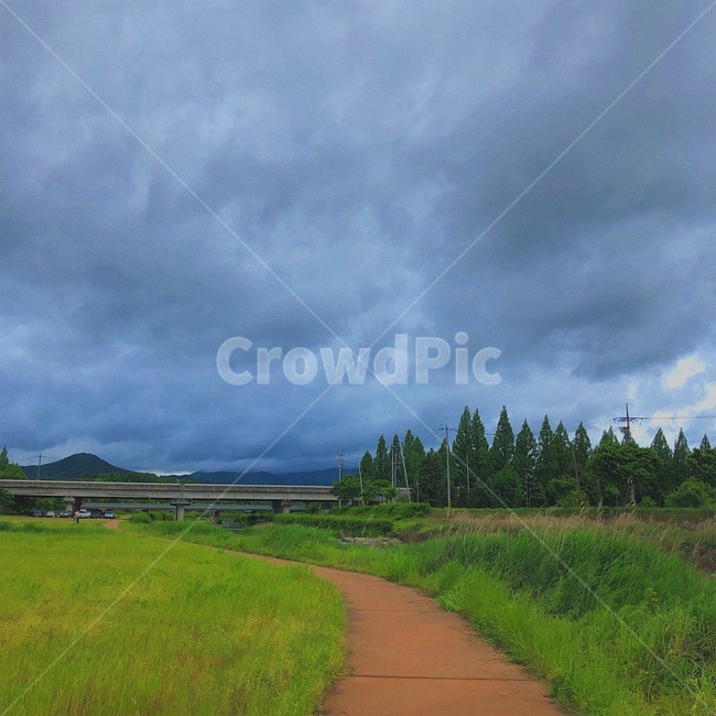 하늘,구름,나무,sky,cloud