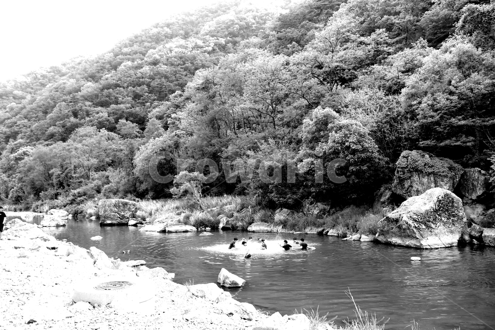 자연,풍경,나무,강,강물,물,산,경기도,가평,물놀이,자연,풍경,nature,landscape,흑백,모노톤,monochrome,black and white,water,outdoors,옥외,land,땅