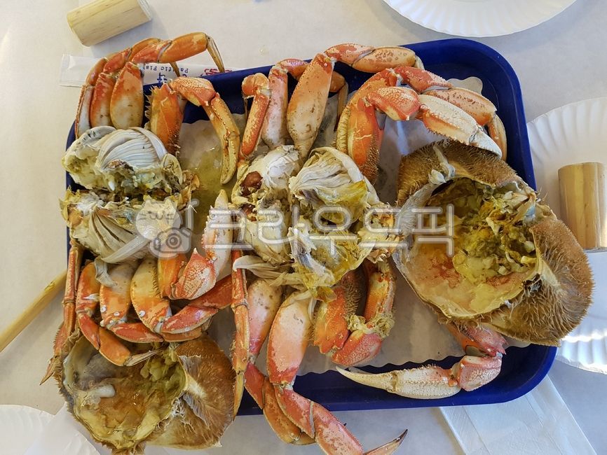 꽃게찜, crab, seafood, 해물, 꽃게, 사진,이미지,일러스트,캘리그라피 - AnotherDay작가