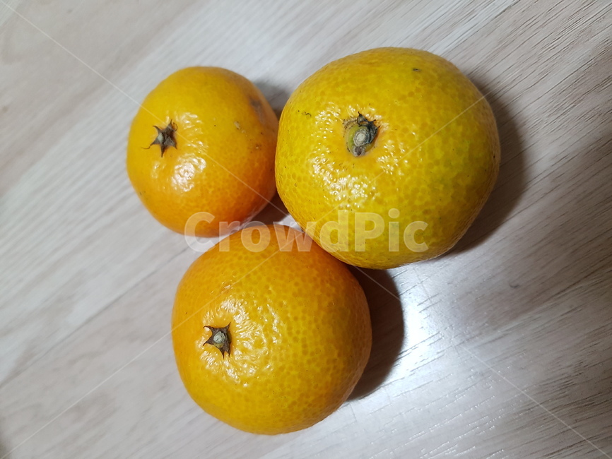감귤류과일,과일,fruit,주황색,orange,귤,감기,겨울,음식,식재료,요리,food,cook,meal,dishes,food reserves,과일,열매,fruit