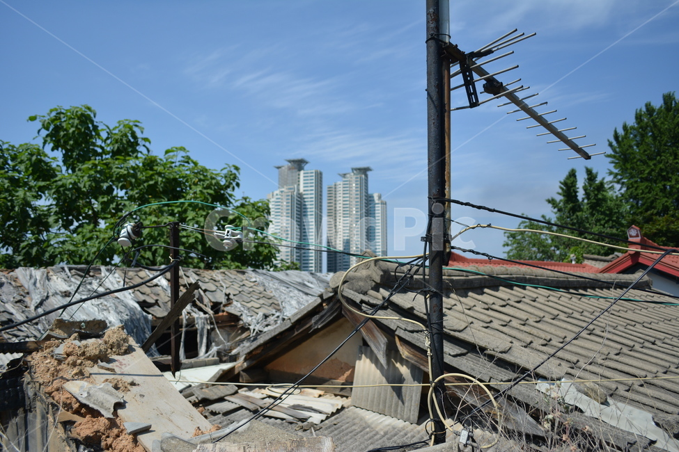 지붕,안테나,여름,집,roof