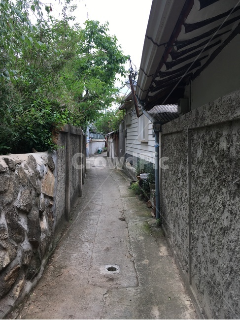 골목길,골목,담장,벽,alley,wall
