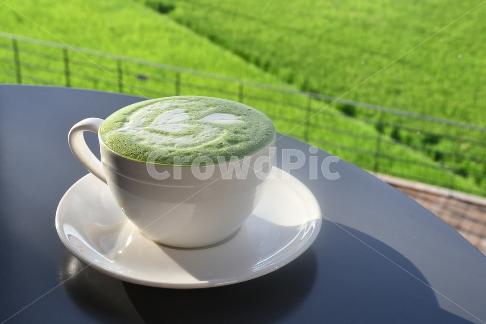 카페,녹차라떼,녹차,라떼아트,그린티라떼,차,티,커피,초록,그린,greentea,cafe,coffee,tea,green,커피,카페,coffee,cafe