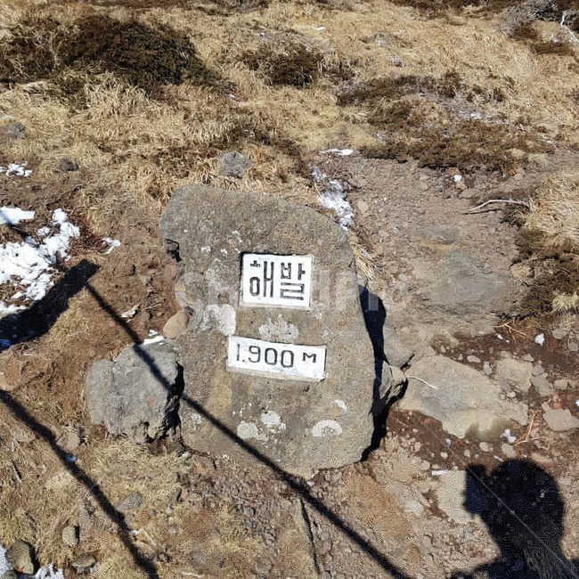 한라산,돌,등산,해발,1900,높은