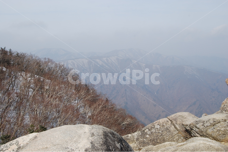 눈,snow,나무,tree,겨울,겨울,계절,winter,season,자연,풍경,nature,landscape,한국자연풍경,한국자연경관,korea nature landscape,slope,경사,outdoors,옥외