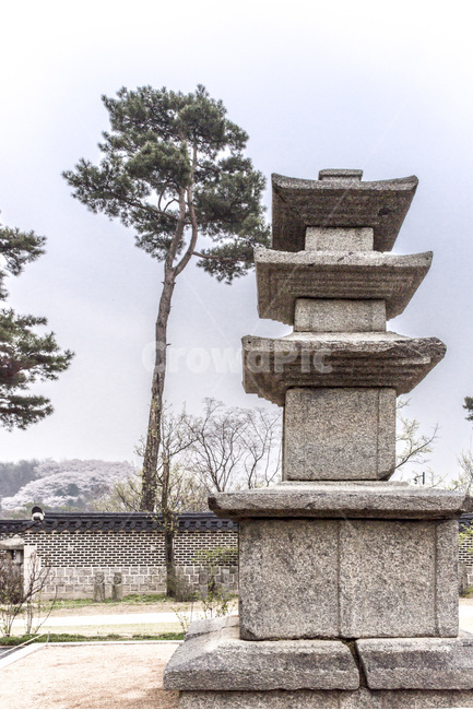 석탑,돌담,소나무,정원,조형물,한국전통,한국문화,korean traditional,korean culture,식물,자연,plants,nature,나무,trees,wood,조각상,동상,석상,조형물,statue,bronze statue,stone statue,종교,신앙,religion,belief,faith,건축물,건물외관,exterior,building,structure,architecture,construction