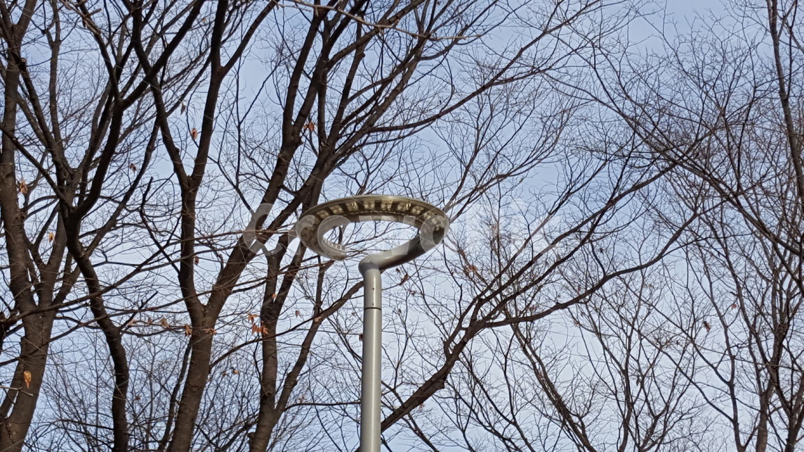 공원,조경,나무,풍경,자연,공원풍경,겨울공원,겨울나무,겨울,계절,winter,season,식물,자연,plants,nature,나무,trees,wood