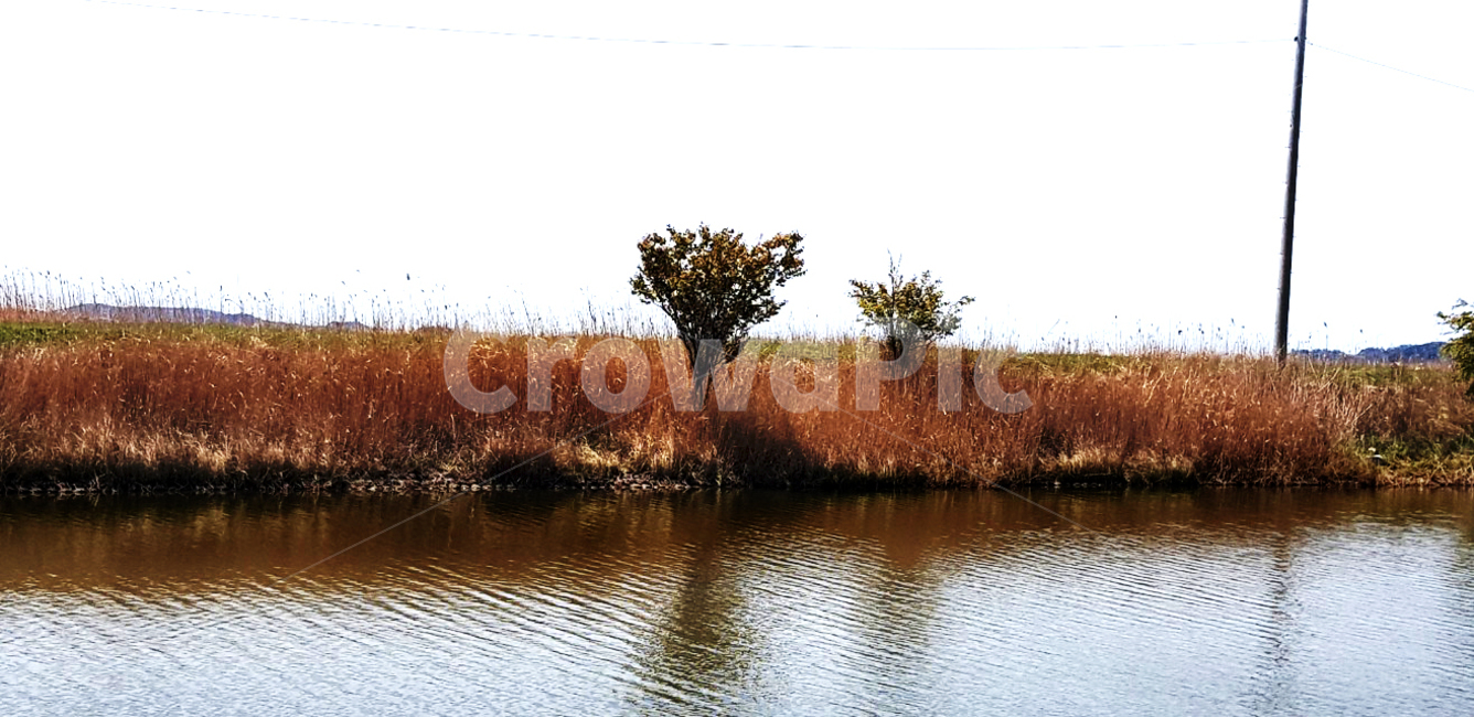 고요,water,물,nature,자연,land,outdoors,가을,나무,산책