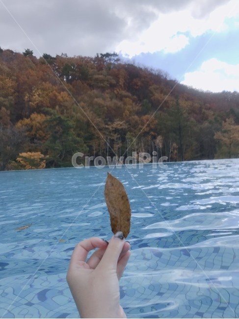 낙엽,가을낙엽,가을,단풍,수영장,휴가,가을,계절,fall,autumn,season,여행,휴가,traveling,vacation,trip
