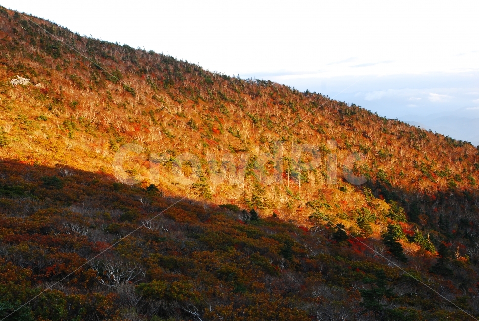 가을,설악산,국립공원,단풍,시즌,계절,단풍잎,leaf,season,maple,시안,디자인,디자이너,출판,편집,책자,서적,사보,카다로그,콘텐츠,리플렛,브로셔,모바일,팝업,전단,광고,색감,칼라풀,아름다운,뷰티풀,beautiful,sns,ebook,웹,마케팅,마켓팅,느낌,서정,나뭇,봉우리,능선,찬란한,화려한,mountain,autumn,fall,red,colorful,emotion,feeling,10월,그림같은,힐링,알록달록,울긋불긋,자연,식물,숲,산,명소,절경,산행,등산,관광,절정,빨강,노랑,초록,가을산,풍경,해질무렵,석양,노을,명암,그림자,가을,계절,fall,autumn,season,자연,풍경,nature,landscape,한국자연풍경,한국자연경관,korea nature landscape,outdoors,옥외