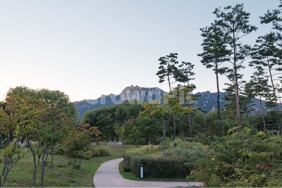 서울창포원,도봉산,공원,산책,창포원,서울,풍경,버드나무,나무,숲,자연,경치,숲길,산책로,식물,도시공원,늦은오후,오후,해질녘,텅빈,조용한,한가한,평화로운,자연,풍경,nature,landscape,한국자연풍경,한국자연경관,korea nature landscape,outdoors,옥외,plant,tree