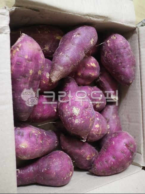 chestnut sweet potato,sweet potato,boiled sweet potato,root vegetables,Fresh sweet potatoes,Pumpkin Sweet Potato,Steamed Sweet Potato,sweetpotato