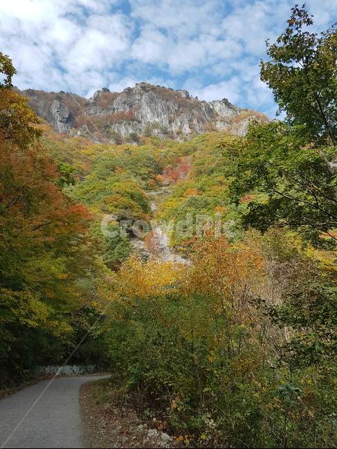 산행,등산,단풍,오솔길,가을길,구름,가을,계절,fall,autumn,season,자연,풍경,nature,landscape,tree,나무,plant,식물,outdoors,옥외
