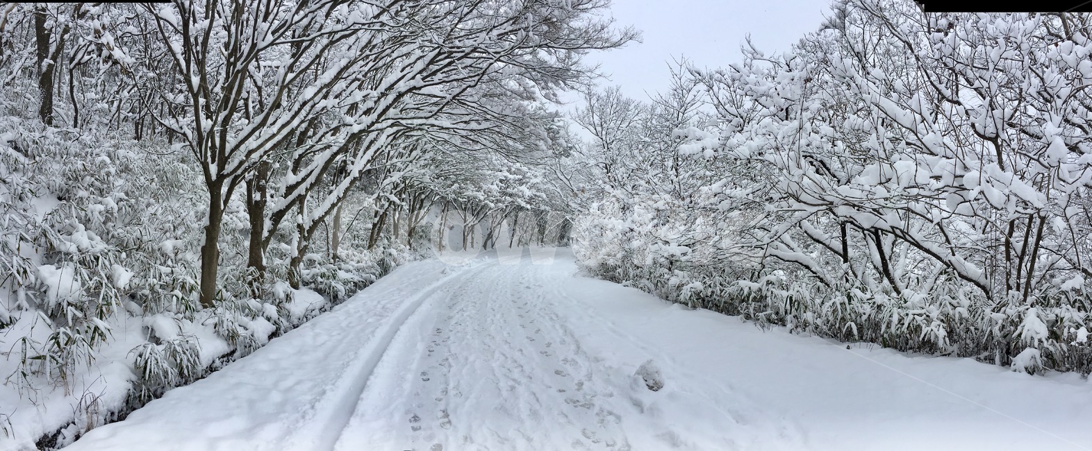 설경,무등산,눈꽃,겨울산,크리스마스,성탄절,nature,자연,폭풍,겨울,outdoors,옥외,snow,눈,blizzard,눈보라