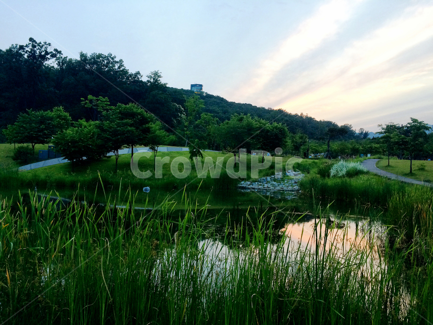 자연,공원,북서울꿈의숲,green,호수