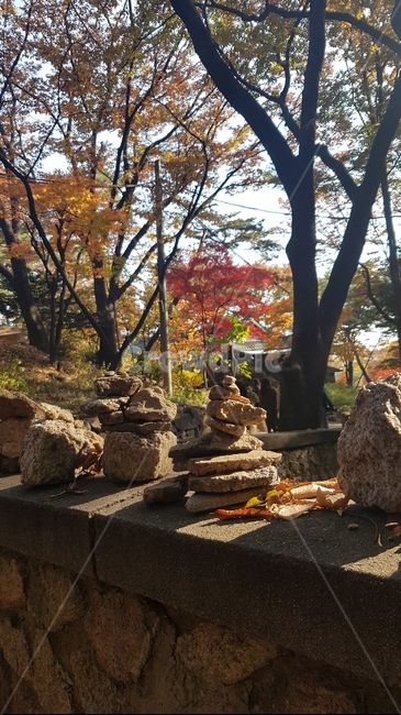돌탑,길상사돌탑,가을,사찰,기도,단풍,낙엽,자연,소원,길상사,풍경,불교,landscape,nature