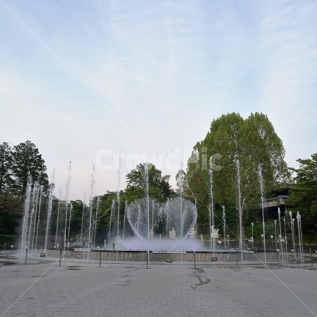 water,fountain,물,분수,어린이대공원,하트,하트분수