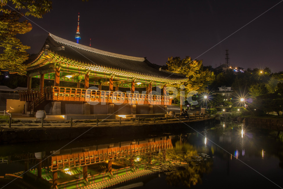 남산골한옥마을,한옥,한옥마을,기와,남산타워,밤,한국,전통,건축물,야경,밤,풍경,nightscape,night,landscape,도시,city,한국도시풍경,한국도시경관,korea cityscape,한국전통,한국문화,korean traditional,korean culture