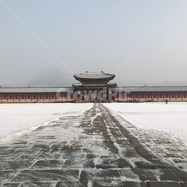 경복궁,고궁,광화문,궁궐,눈오는풍경,겨울,계절,winter,season,한국전통,한국문화,korean traditional,korean culture,랜드마크,landmark,tourist attraction,한국랜드마크,한국관광지,한국명소,korea landmark,korea tourist attraction
