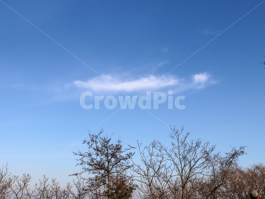 하늘,파랑,구름,맑음,나무,자연,풍경,nature,landscape,outdoors,옥외,azure sky,푸른 하늘,sky