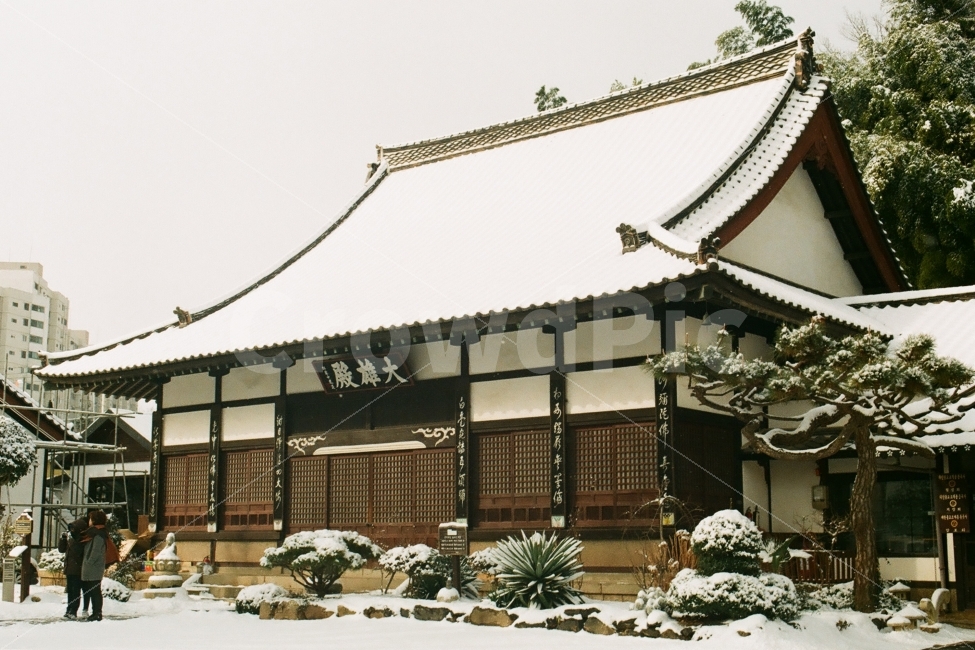 동국사,일본식사찰,사찰,절,눈,겨울,필름사진,랜드마크,landmark,tourist attraction,종교,신앙,religion,belief,faith,감성,sensible,feeling